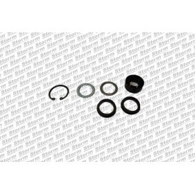 Reparatursatz, Lenkgetriebe des Herstellers STORM QUALITY PARTS - Originalware Artikelnummer: F0286