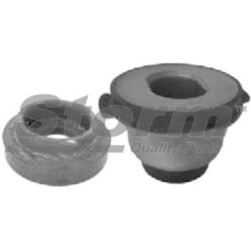 Achskörperlager für PEUGEOT von STORM QUALITY PARTS