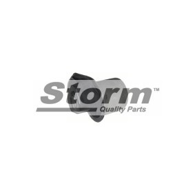 Achslager des Herstellers STORM QUALITY PARTS - Originalware Artikelnummer: F1695