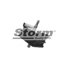 Achskörperlager für PEUGEOT von STORM QUALITY PARTS