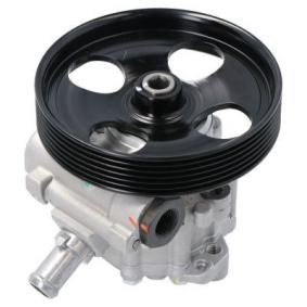 Servopumpe PW680141 von ENERGY günstig für 109,80 € online kaufen