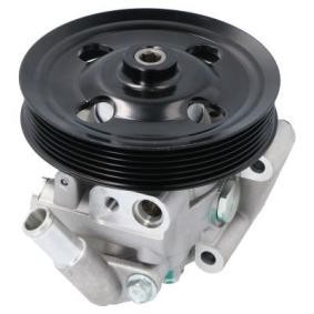 Servopumpe PW680430 von ENERGY günstig für 125,32 € online kaufen