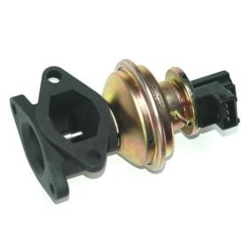 AGR Ventil des Herstellers ENERGY - Originalware Artikelnummer: ZE0012