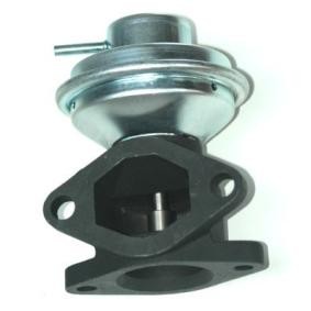 AGR Ventil des Herstellers ENERGY - Originalware Artikelnummer: ZE0013