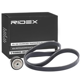 Keilrippenriemen des Herstellers RIDEX - Originalware Artikelnummer: 542R0788