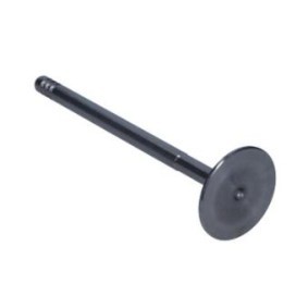 Comprar Válvula de admisión de AMP PFIA017-S-0-N a bajo precio de 17,22 €