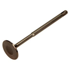 Einlaßventil PAUD001-S-0-N von AMP günstig für 13,71 € online kaufen