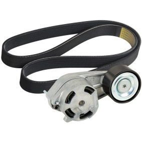 Achetez des Kit de courroie d'accessoire de chez RIDEX en ligne pour 1 3 portes (F21) à prix modérés