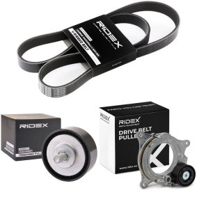Achetez des Kit de courroie d'accessoire de chez RIDEX en ligne pour 1 3 portes (F21) à prix modérés