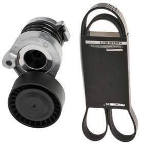 Comprar Juego de correas trapeciales poli V de RIDEX 542R0810 a bajo precio de 58,76 €