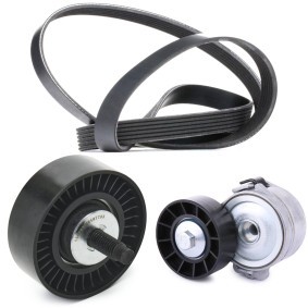Comprar Juego de correas trapeciales poli V de RIDEX 542R0822 a bajo precio de 79,70 €