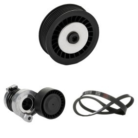 Compre Jogo de correia trapezoidal estriada de RIDEX online para GLA (X156) a preços moderados