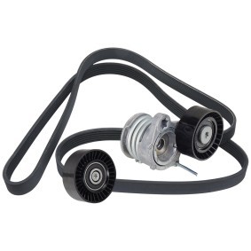 Achetez des Jeu de courroies trapézoïdales à nervures RIDEX 542R0921 à prix pour 73,93 €