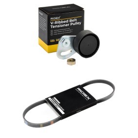 Achetez des Jeu de courroies trapézoïdales à nervures RIDEX 542R0985 à prix pour 28,50 €