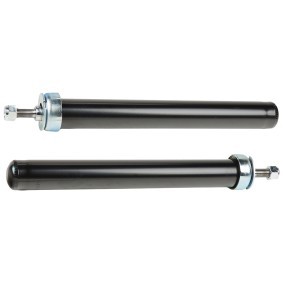 Compre Amortecedor da RIDEX 854S18251 a um preço baixo por 50,00 €