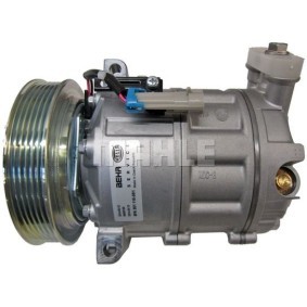 Klimakompressor 090.505.041.310 von BV PSH günstig für 603,83 € online kaufen