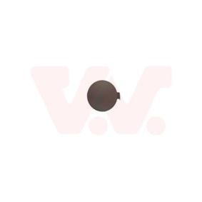 Klappe, Abschlepphaken 1614587 von VAN WEZEL günstig für 15,14 € online kaufen