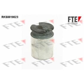Kolben, Bremssattel 9313165 von FTE günstig für 22,07 € online kaufen