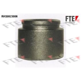 Kolben, Bremssattel 9313193 von FTE günstig für 20,57 € online kaufen