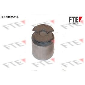 Compre Êmbolo, pinça do travão da FTE 9313221 a um preço baixo por 20,58 €