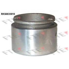 Comprar Émbolo, pinza del freno de FTE 9313274 a bajo precio de 15,34 €