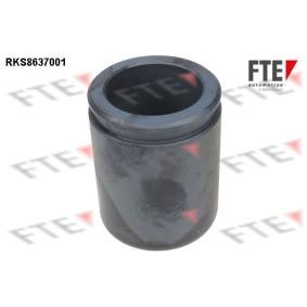 Kolben, Bremssattel 9313347 von FTE günstig für 24,84 € online kaufen
