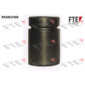 Kolben, Bremssattel 9313351 von FTE günstig für 13,72 € online kaufen