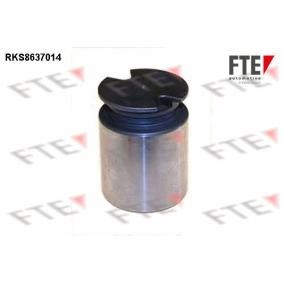 Kolben, Bremssattel 9313355 von FTE günstig für 17,84 € online kaufen