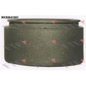 Kolben, Bremssattel 9313372 von FTE günstig für 20,85 € online kaufen