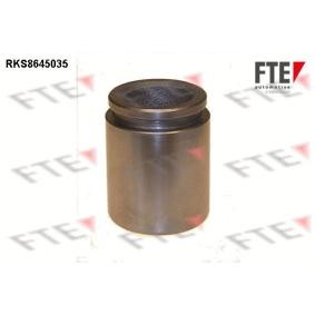 Kolben, Bremssattel 9313409 von FTE günstig für 15,86 € online kaufen