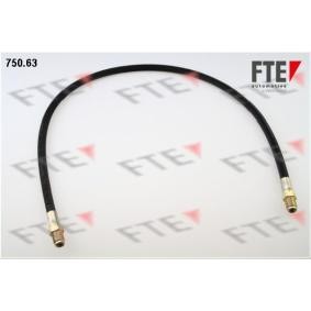 Bremsschlauch für IVECO von FTE