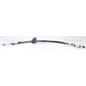 Seilzug, Schaltgetriebe 8140 28730 von TRISCAN günstig für 170,26 € online kaufen