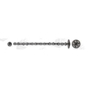 Nockenwelle CAM1017 von AE günstig für 305,59 € online kaufen