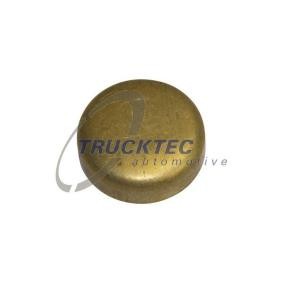 Froststopfen des Herstellers TRUCKTEC AUTOMOTIVE - Originalware Artikelnummer: 01.10.254