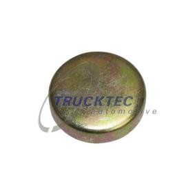 Froststopfen des Herstellers TRUCKTEC AUTOMOTIVE - Originalware Artikelnummer: 05.10.062