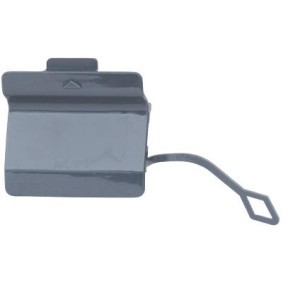 Klappe, Abschlepphaken 1225058 von DIEDERICHS günstig für 16,34 € online kaufen