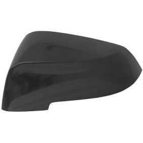 Abdeckung, Außenspiegel 1225127 von DIEDERICHS günstig für 41,98 € online kaufen