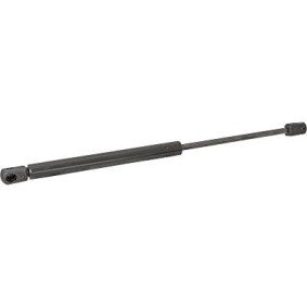 Acquista Ammortizzatore pneumatico cofano motore da DIEDERICHS 9227300 a buon mercato per soli 26,91 €