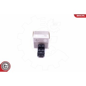 Compre Interruptor, elevadores dos vidros da ESEN SKV 37SKV114 a um preço baixo por 40,41 €