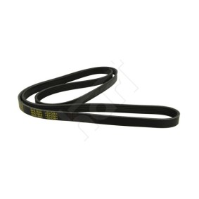 Achetez des Courroie Poly-V HART 368 885 à prix pour 17,25 €