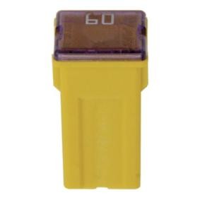 Sicherung 225053 von RESTAGRAF günstig für 19,77 € online kaufen