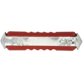 Acquista Fusibile da RESTAGRAF 6884 a buon mercato per soli 5,42 €