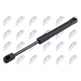 Compre Amortecedor de capô de NTY online para 6 Cabrio (F12) a preços moderados