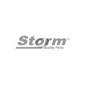 Montagesatz, Abgasanlage des Herstellers STORM QUALITY PARTS - Originalware Artikelnummer: F1605
