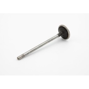 Comprar Válvula de admisión de IVECO 504072531 a bajo precio de 70,29 €