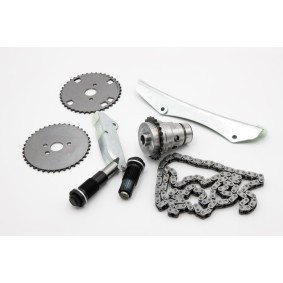 Steuerkettensatz des Herstellers IVECO - Originalware Artikelnummer: 5802009618
