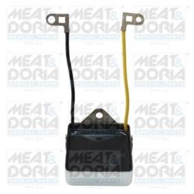 Lichtmaschinenregler für ROVER von MEAT & DORIA