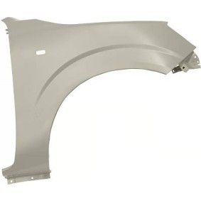 Acquista Parafango da DIEDERICHS online per NP300 Navara Pick-up (D23) a prezzi moderati