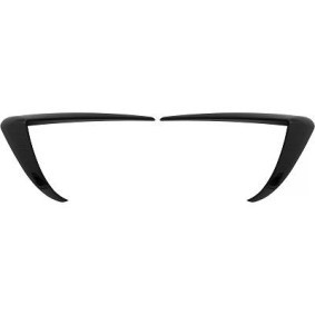 Compre Guarnição, pára-choques da DIEDERICHS 7930262 a um preço baixo por 103,36 €