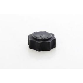 Köp Lock till expansionskärl av BSG BSG 15-551-005 till det låga priset 437,56 kr